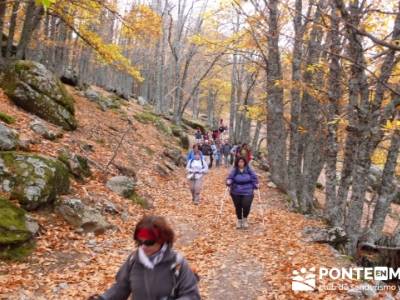 El Castañar de El Tiemblo, rutas con niños; puerto de navafría